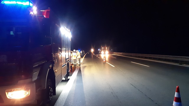 20221024_011224_resized groß.jpg